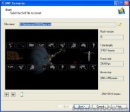 SWF to Video Converter-Adobe Recommend! screenshot